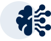 about icon primakara